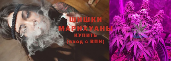 ПСИЛОЦИБИНОВЫЕ ГРИБЫ Баксан