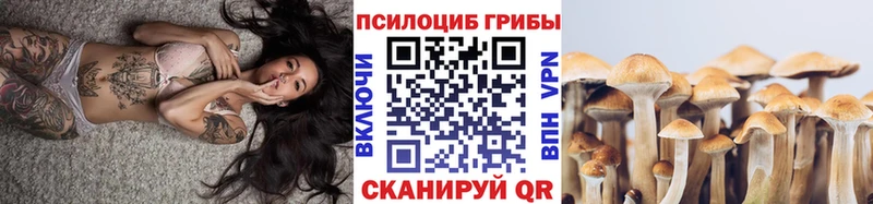 наркошоп  Тара  Псилоцибиновые грибы мухоморы 
